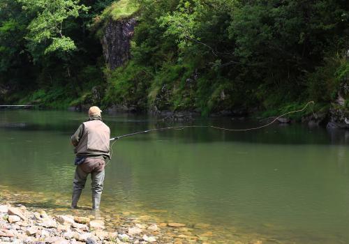 Pêche au saumon